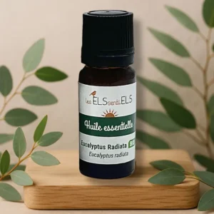 Huile Essentielle d’Eucalyptus Radiata Bio – ORL & Défenses Naturelles - 10 ml