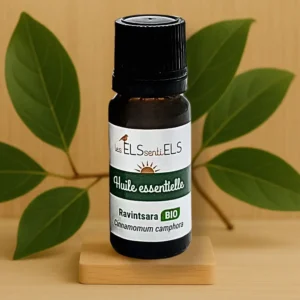 Huile Essentielle de Ravintsara Bio – Immunité & Énergie - 10 ml