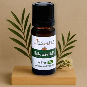 Huile Essentielle Bio de Tea Tree – Purifiante & Polyvalente - 10 ml